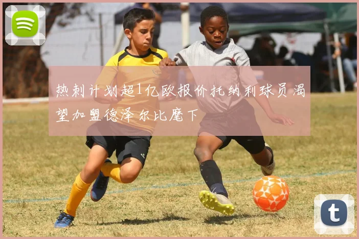 热刺计划超1亿欧报价托纳利球员渴望加盟德泽尔比麾下
